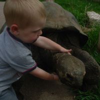 hugging a turtle