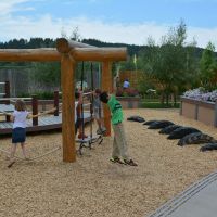 Methuselah's Playground