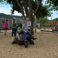 Methuselah's Playground