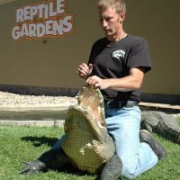 Gator Show