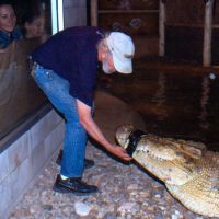 Maniac the Giant Crocodile