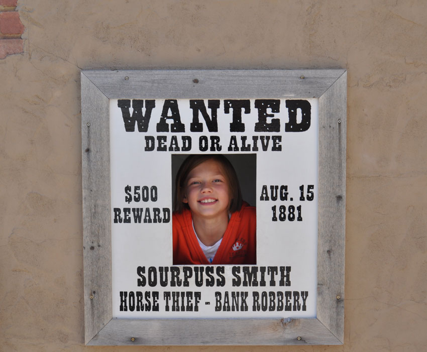 Wanted at Spring Creek Gulch